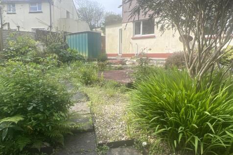 Back Garden