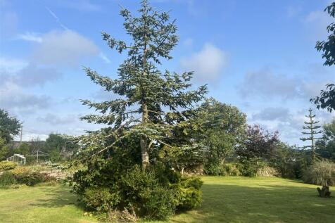 Elevation, Gardens, Garages &amp; Sheds