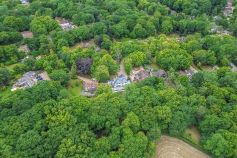 DJI_0442.jpg