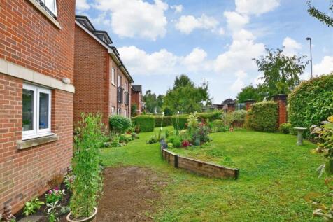 garden.jpg