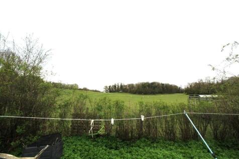 IMG_32316_9_large