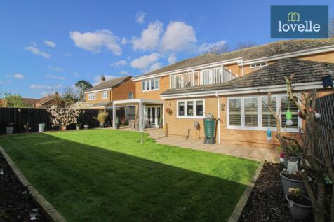 Property Image 33