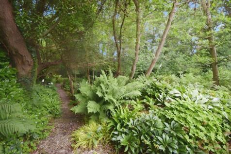 Property Image 29