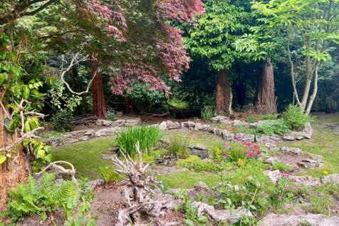 Pond Area