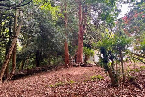 Woodland Area