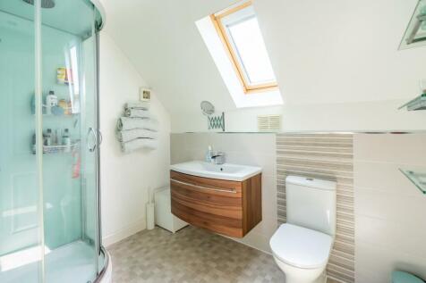 mallard close (23 of 30).jpg