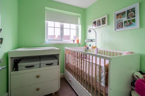 acorn close-15.jpg