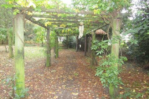 Grounds