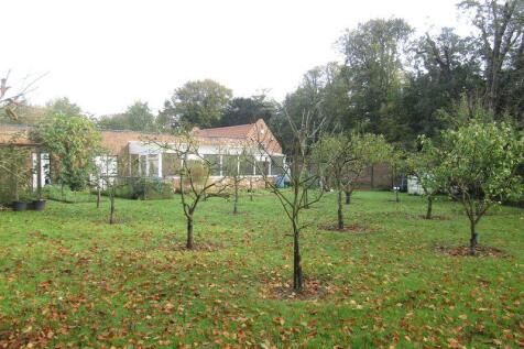 Orchards 