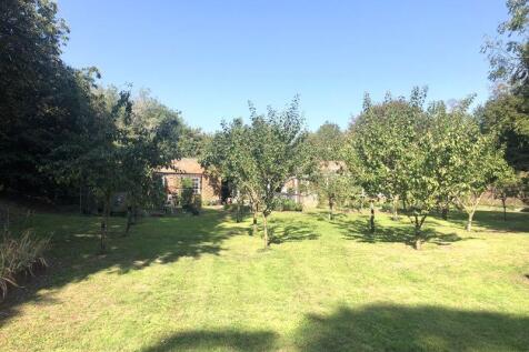 Grounds