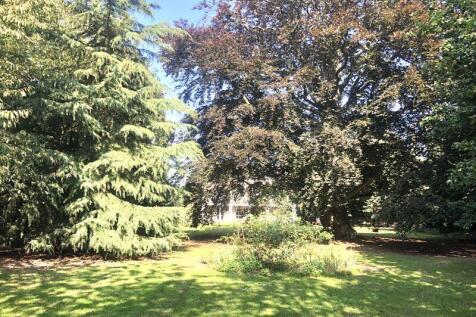 Grounds