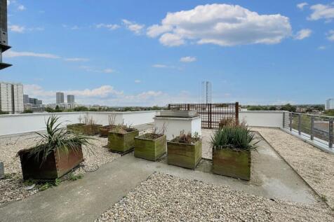 Communal Terrace: