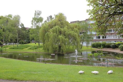 Pond with ducks.jpg