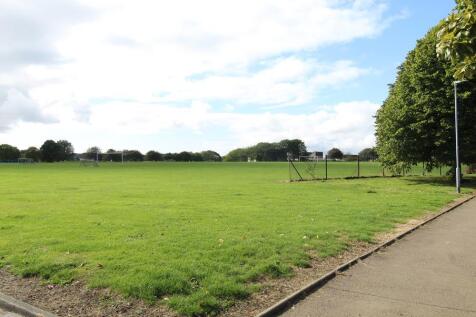 Field