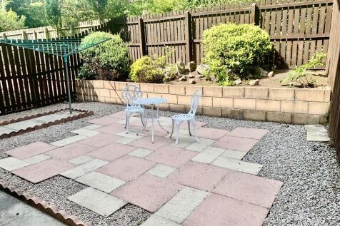 Rear garden (2)
