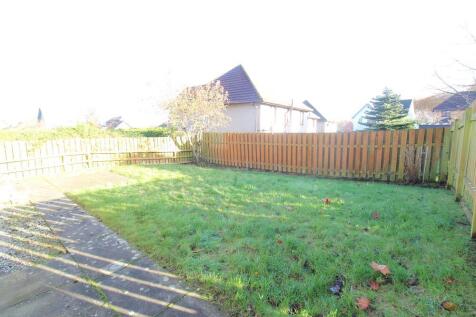 Back garden