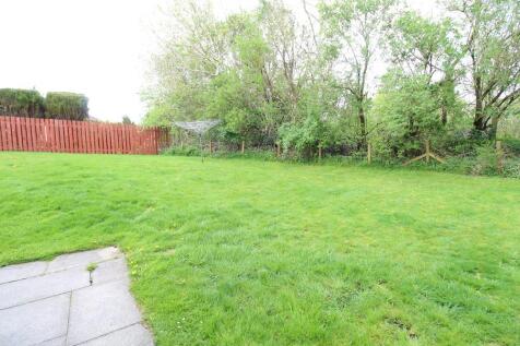 Shared Garden