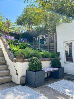 Garden 5