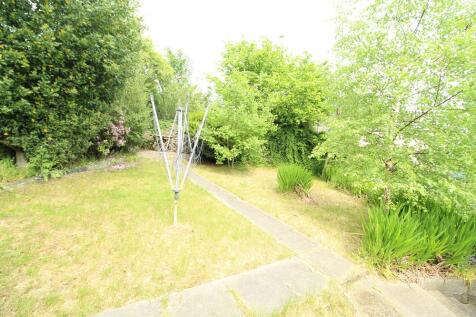 Garden photo 2