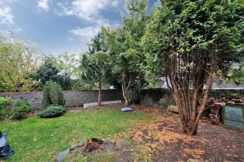 Garden photograph 3