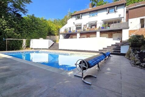Rear pool &amp; garden