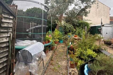 82e garden.jpg