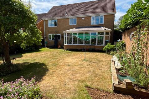 Property Image 13