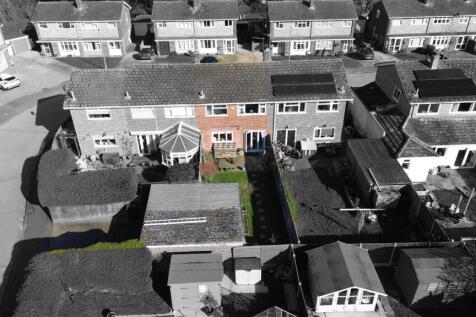 Rear Garden colourpop.JPG