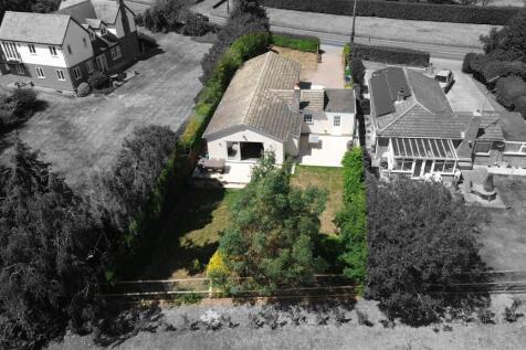 garden view.JPG
