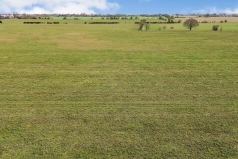 DJI_0081_1.jpg