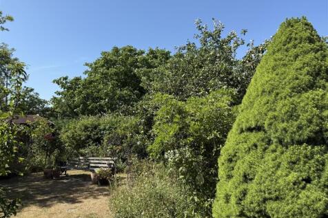 IMG_0222.jpeg