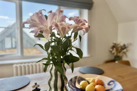 IMG_7396.jpeg