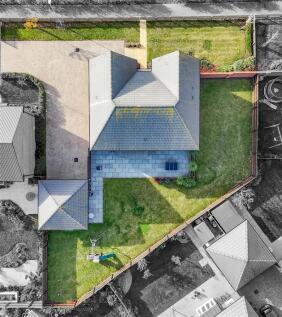 DJI_20251104100445_0244_D copy bw.jpg