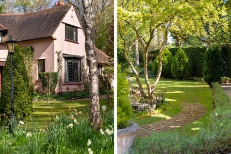 Property Image 39