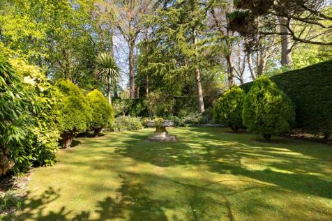 Property Image 42
