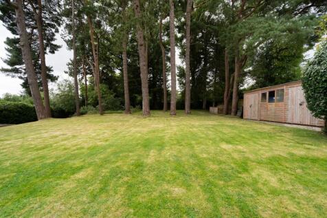 Property Image 39