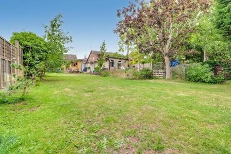 19 FRIERN NEW GARDEN PICS-3.jpg