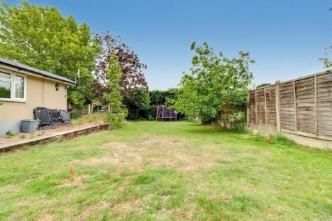 19 FRIERN NEW GARDEN PICS-2.jpg