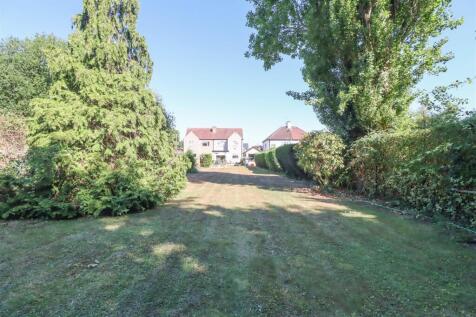 111 RUNWELL ROAD GARDEN-9.jpg