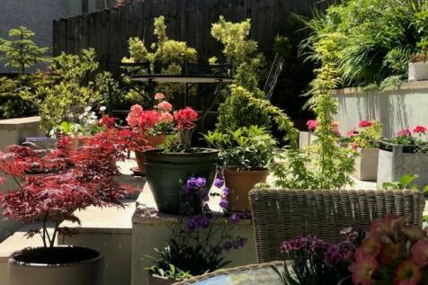 Garden 3
