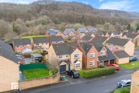 DJI_2025022115260...
