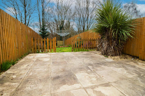 IMG_0773 copy 2 -...