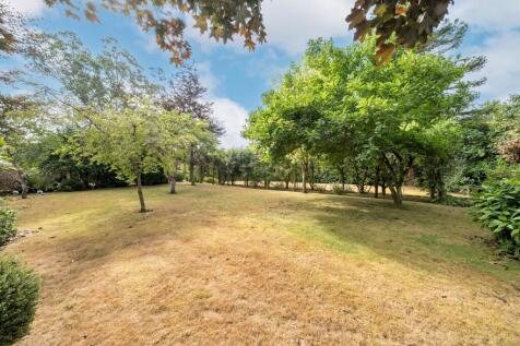 Property Image 23