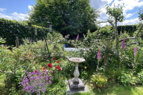 Vegetable Garden