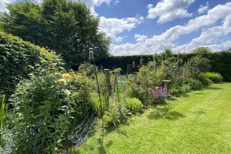 Vegetable Garden