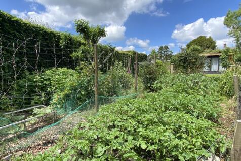 Vegetable Garden