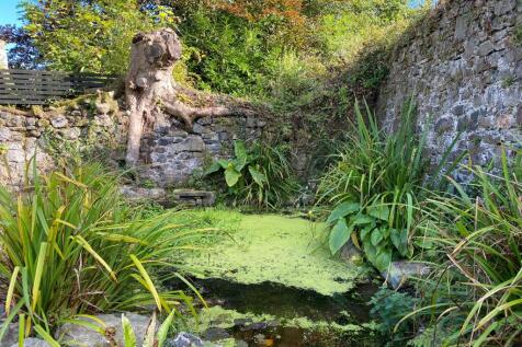 Pond