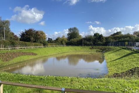 Plots Overlooking Site Nature Pond