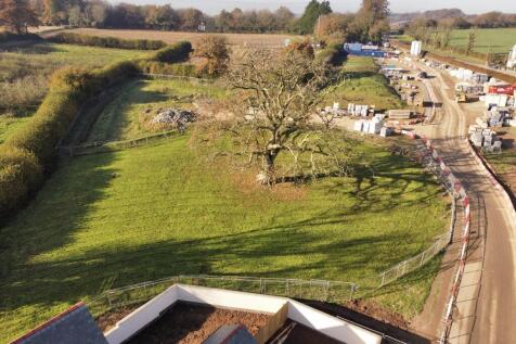Garden Backing on to The Green