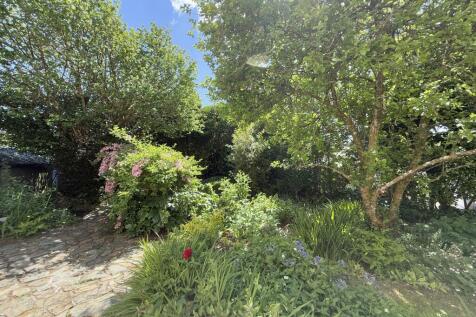 Mature Trees and Shrubs